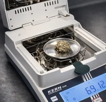 Fish treat sample on a scale in the production laboratory