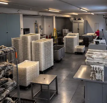 Fish treat trays stacked in a production facility